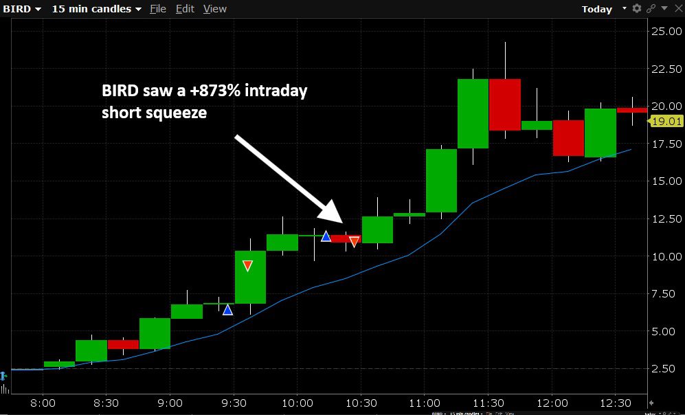 Allbirds’ 873% Short Squeeze on an AI Pivot – BIRD Trade Review
